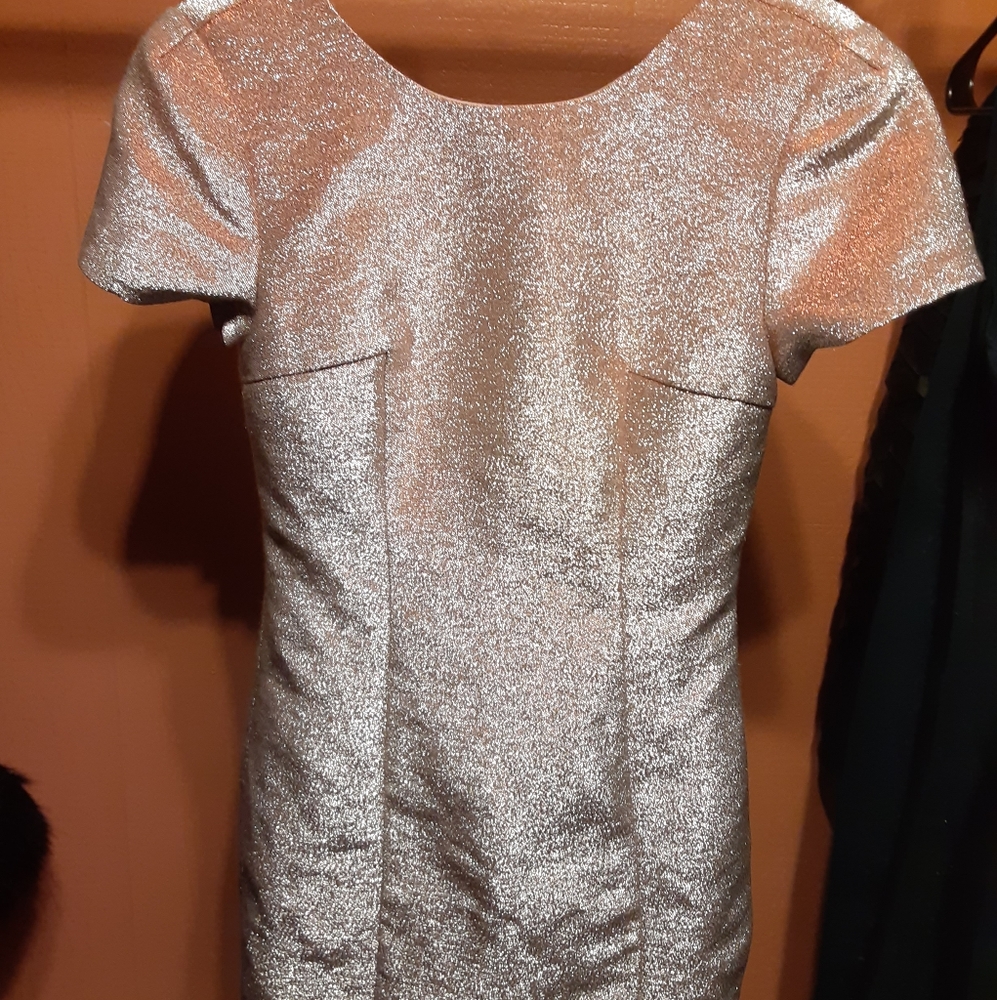 Express sheath dress